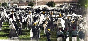 2480- Tlemcen - Hippodrome - Pelouse2